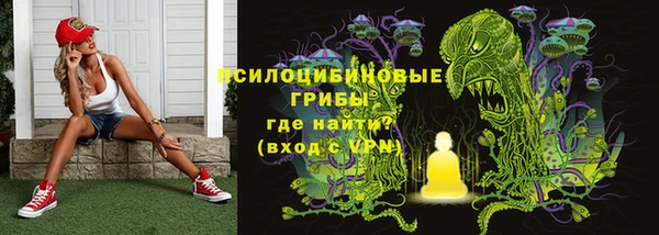 крисы Нязепетровск
