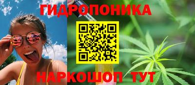 прущие грибы Волжский