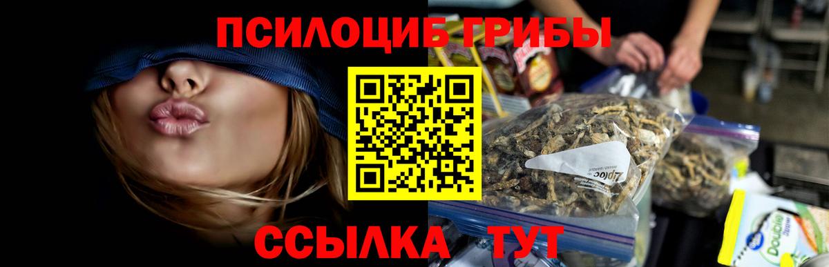 Галлюциногенные грибы мухоморы Урюпинск